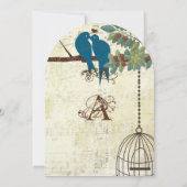 Blauwgroen Tortelduifjes die in een Brondenweddens Kaart (Achterkant)