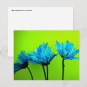 Blauwgroen Turquoise Daisies op Lime Green Flowers Briefkaart (Voorkant / Achterkant)
