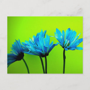 Blauwgroen Turquoise Daisies op Lime Green Flowers Briefkaart