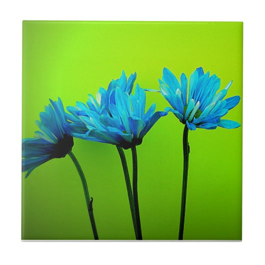 Blauwgroen Turquoise Daisies op Lime Green Flowers Tegeltje (Voorkant)
