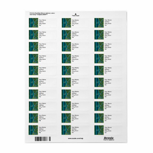Blauwgroen veld Adres label (Full Sheet)