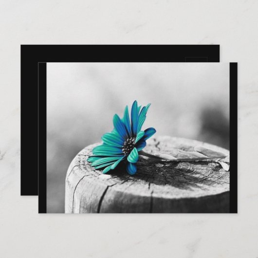 Blauwgroen ventilator briefkaart (Voorkant / Achterkant)