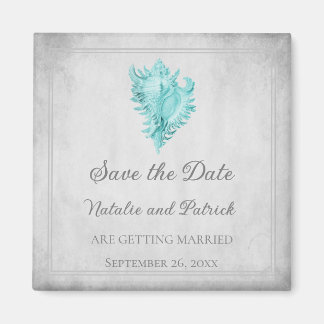 Blauwgroen Vertakking Shell sparen de Magnet van d