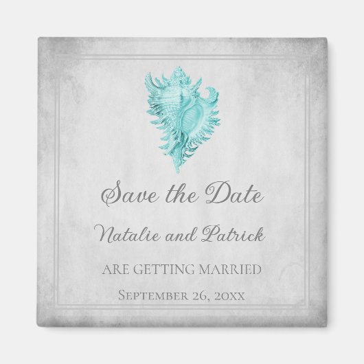 Blauwgroen Vertakking Shell sparen de Magnet van d (Voorkant)