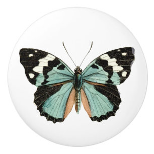  Blauwgroen vlinder Aangepaste keramische knop