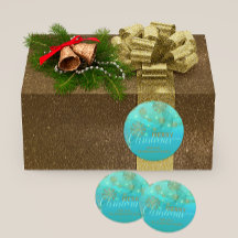 Blauwgroen winter met pretkerst