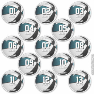 blauwgroen zwarte basketbal aangepaste 13 spelers  sticker