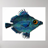 Blauwgroene Fantasy Discus Poster (Voorkant)