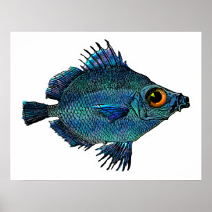 Blauwgroene Fantasy Discus Poster