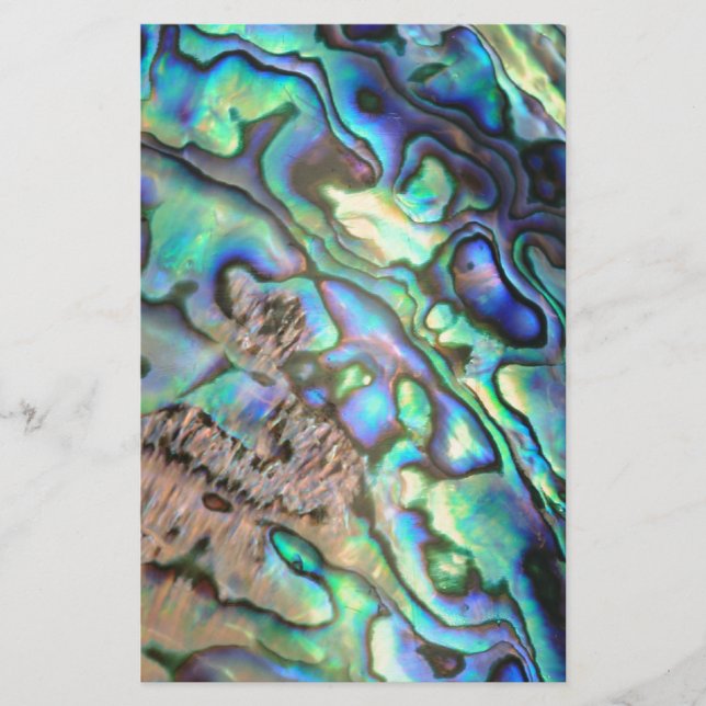 Blauwgroene paua-zeebrasedetails (Voorkant)