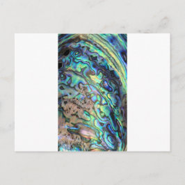 Blauwgroene paua-zeebrasedetails briefkaart