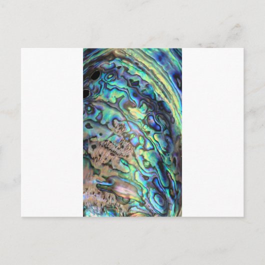 Blauwgroene paua-zeebrasedetails briefkaart (Voorkant)