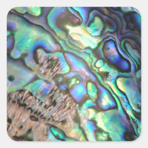 Blauwgroene paua-zeebrasedetails vierkante sticker