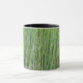 Blauwgroene siergras mok (Midden)