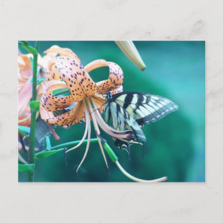 Blauwgroene vlinder briefkaart