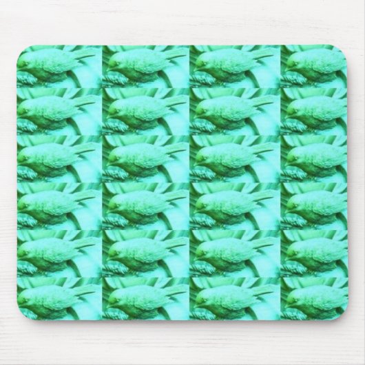 Blauwgroene vogeltextuur muismat (Voorkant)