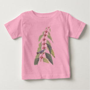 Blauwgroene Warbler Bird Audubon Art