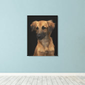 Blauwharshond met zwarte neus op zwarte haai canvas afdruk (Insitu (Houten vloer))