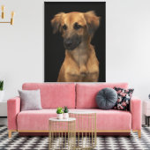 Blauwharshond met zwarte neus op zwarte haai canvas afdruk (Insitu (Woonkamer))