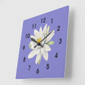 Blauwkap Blauw-Paarse, witte waterlelie, Vierkante Klok (Hoek)