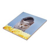 Blauwkatje Tegeltje (Zijkant)