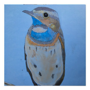 Blauwkeel vogel perfect poster