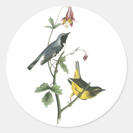Blauwkeelaar, John Audubon Ronde Sticker (Voorkant)