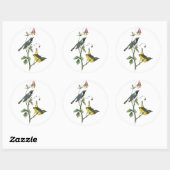 Blauwkeelaar, John Audubon Ronde Sticker (Vel)