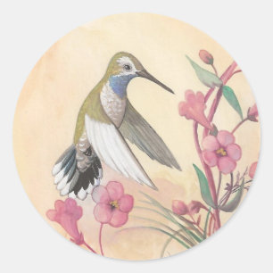 blauwkeelkolibrie ronde sticker