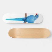 Blauwkeelspatbord Persoonlijk Skateboard (Horizontaal)