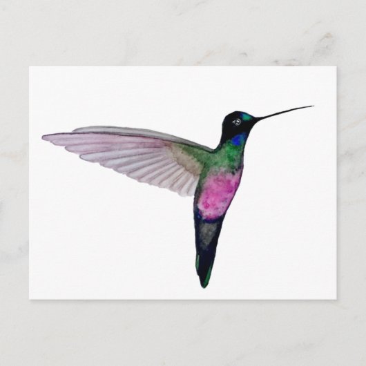 Blauwkeelstarfrontlet Briefkaart (Voorkant)