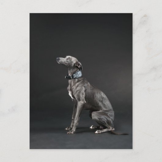 Blauwkeet Briefkaart (Voorkant)