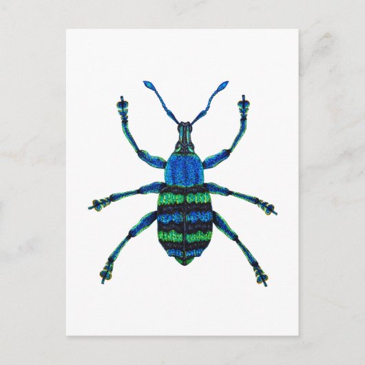 Blauwkever Briefkaart (Voorkant)