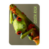 Blauwkikker in Costa Rica Magneet (Verticaal)