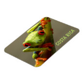 Blauwkikker in Costa Rica Magneet (Linkerzijde)