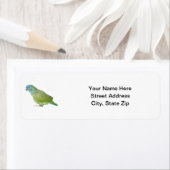 Blauwkop Pionus Parrot Etiket (Insitu)