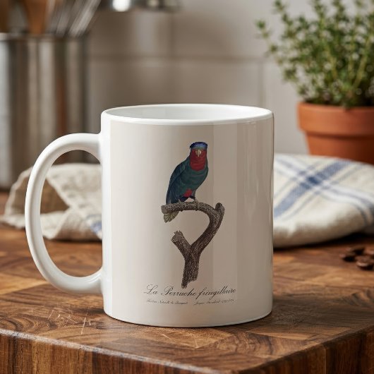 Blauwkroonlori, Vini Australis Koffiemok