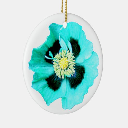 Blauwmaanrood ornament wit (Rechts)