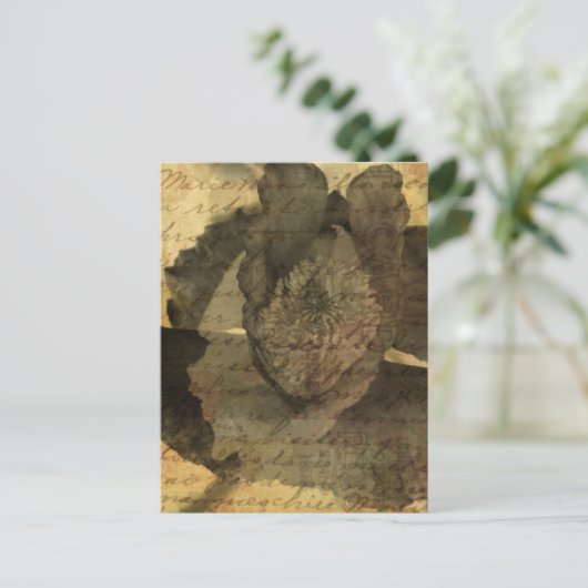 Blauwmakerij 3 briefkaart (Staand voorkant)