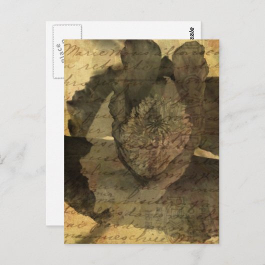 Blauwmakerij 3 briefkaart (Voorkant / Achterkant)