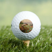 Blauwmakersblaasjes (Floral Scene) (bloemveld) Golfballen (Insitu Shirt)