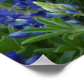 Blauwmakersveld Poster (Hoek)