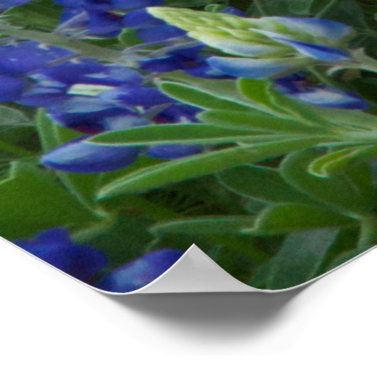 Blauwmakersveld Poster (Hoek)