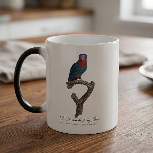 Blauwmaskerlori, Vini Australis Magische Mok