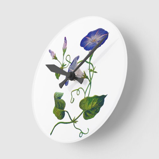 Blauwmorineslangen Ronde Klok (Hoek)