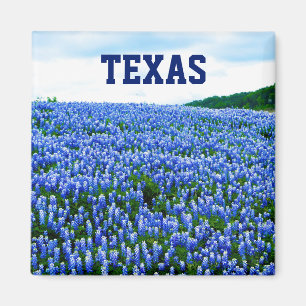 Blauwnetjes Blauwe Bloemen Texas Texan Floral Magn Magneet