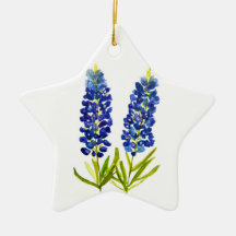 Blauwnetjes Blauwe Bloemen Texas Texan Lupine