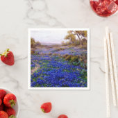 Blauwnetten bij Twilight, ten noorden van San Anto Servetten (Insitu)