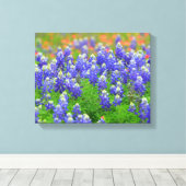 Blauwnetten van de lente canvas afdruk (Insitu (Houten vloer))