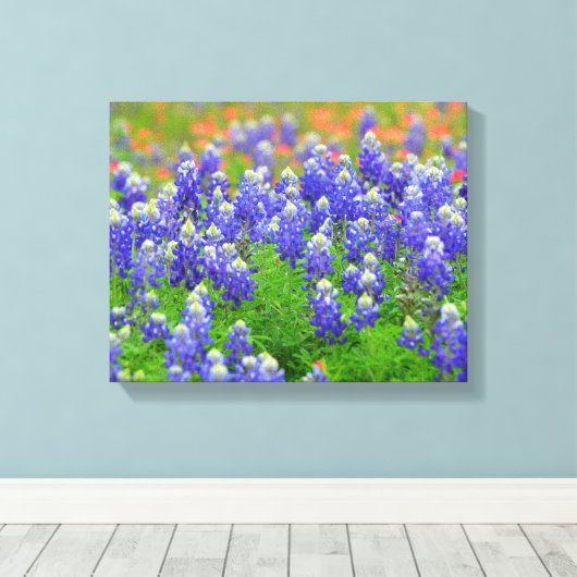 Blauwnetten van de lente canvas afdruk (Insitu (Houten vloer))